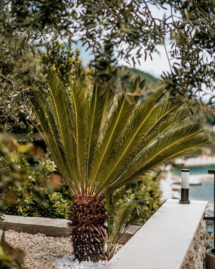 Villa Amore Brela Luaran gambar